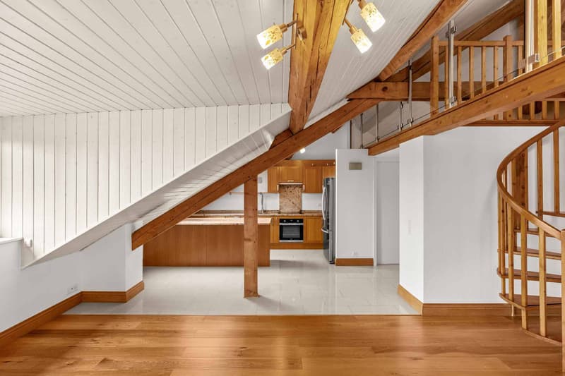 Appartement de caractère sous les toits  Meyrin centre (9)