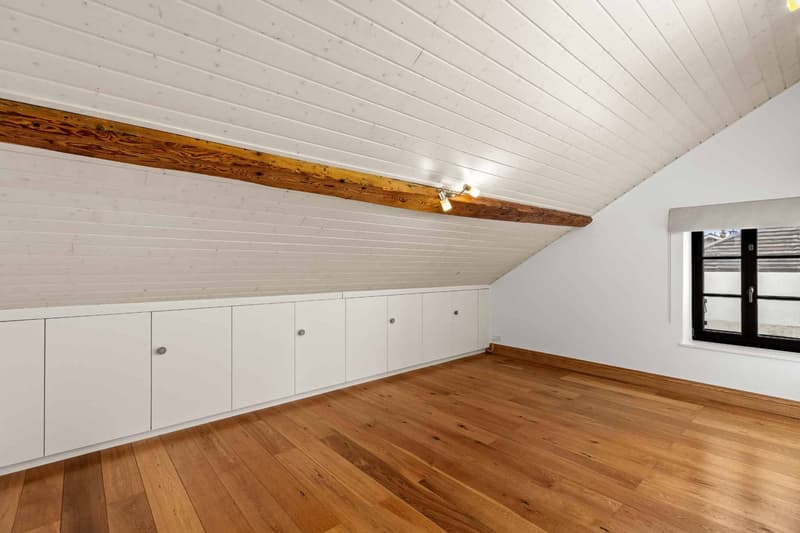 Appartement de caractère sous les toits  Meyrin centre (13)