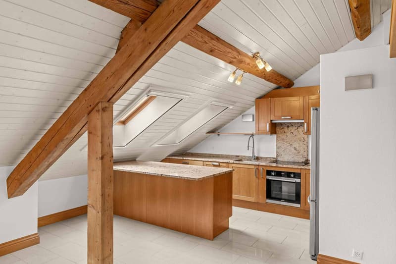 Appartement de caractère sous les toits  Meyrin centre (8)