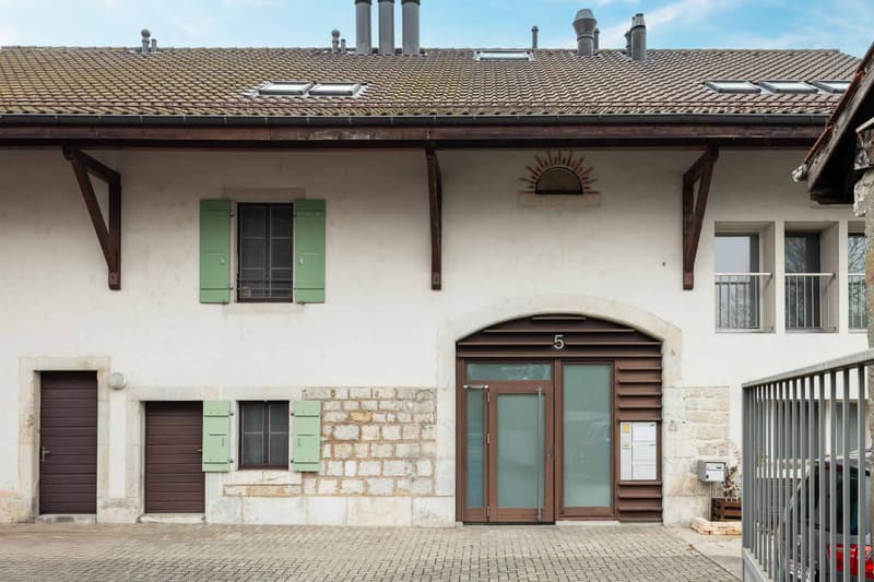 Appartement de caractère sous les toits  Meyrin centre (2)