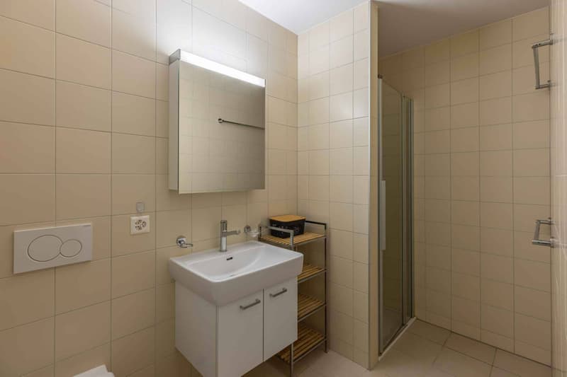 Lumineux 4.5 pièces avec grande loggia au centre de Nyon (8)