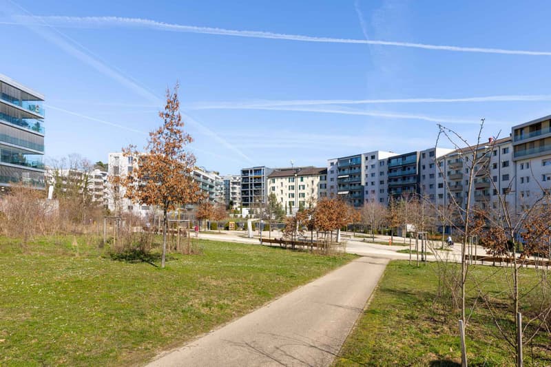 Lumineux 4.5 pièces avec grande loggia au centre de Nyon (2)