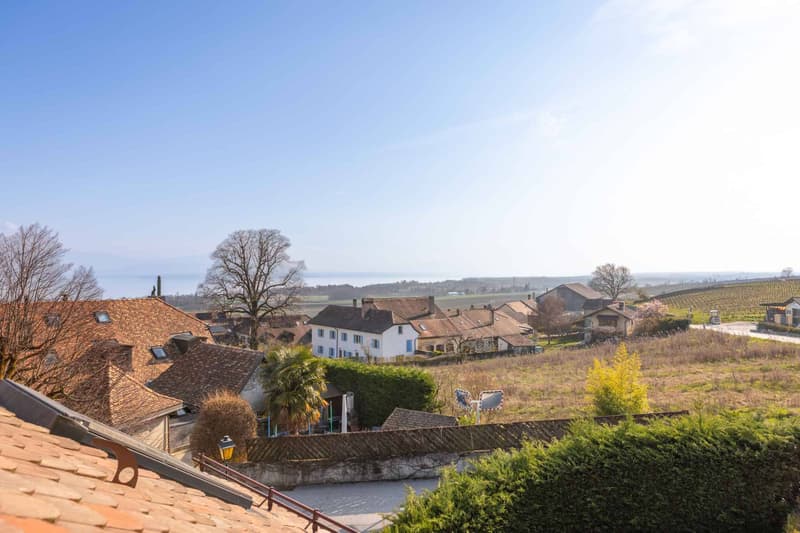 Charmante maison rénovée au cur des vignes (2)