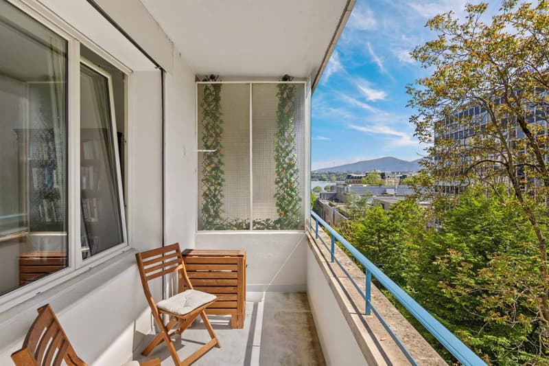 Appartement rénové dans une résidence de standing (5)
