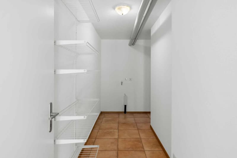 Nyon Superbe duplex de 167 m² PPE avec jardin privatif (10)