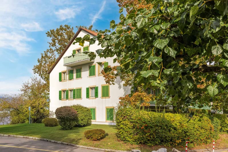 Appartement de 5 pièces rénové en 2025 à 3 minutes du tram (13)