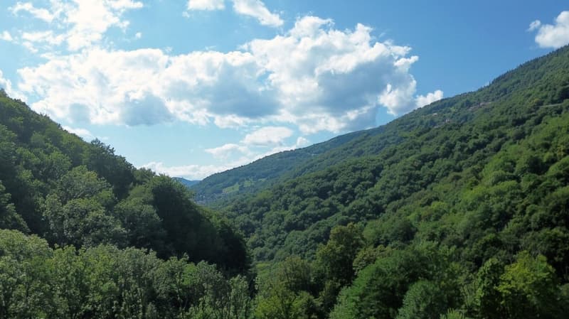 Appartamenti nuovi 2.5 a 4.5 locali con potenziale di rendita & gestione professionale (16)