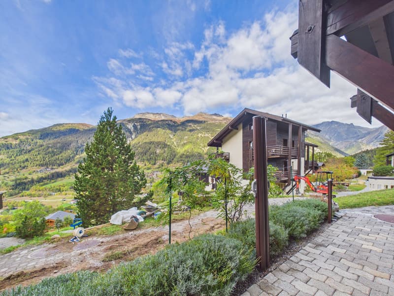 Modernisiertes Studio mit sonniger Terrasse in Ernen – ideal als Ferienwohnung oder Anlageobjekt (8)