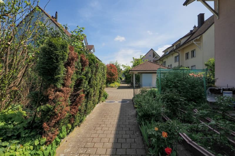 Grosszügige 3.5 (4.5) Zimmerwohnung mitten im Grünen (16)