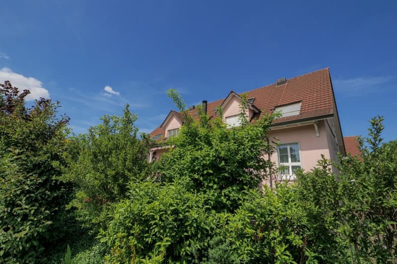 Grosszügige 3.5 (4.5) Zimmerwohnung mitten im Grünen (1)