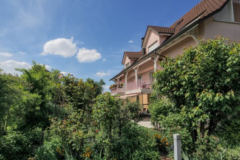 Grosszügige 3.5 (4.5) Zimmerwohnung mitten im Grünen (15)