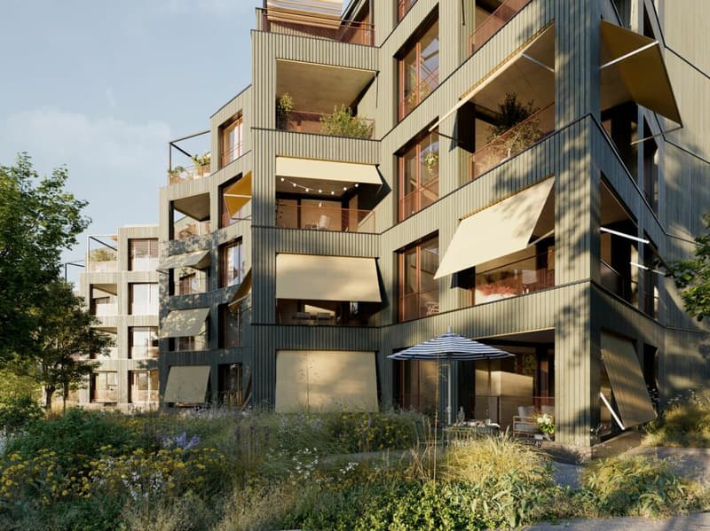 Gartenhaus Wädenswil! vögeliwohl! (1)