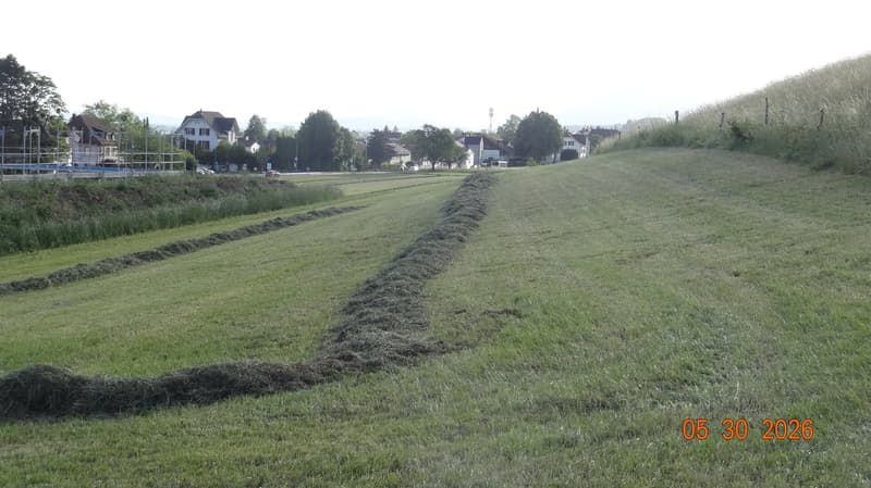 Gewerbeland mit Potenzial an Toplage in Langendorf (7)