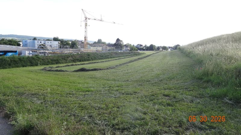 Gewerbeland mit Potenzial an Toplage in Langendorf (6)