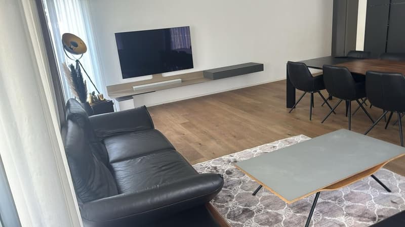 4 1/2 Zimmerwohnung im Sunnepark mit grosszügigem Sitzplatz (75m2) (5)