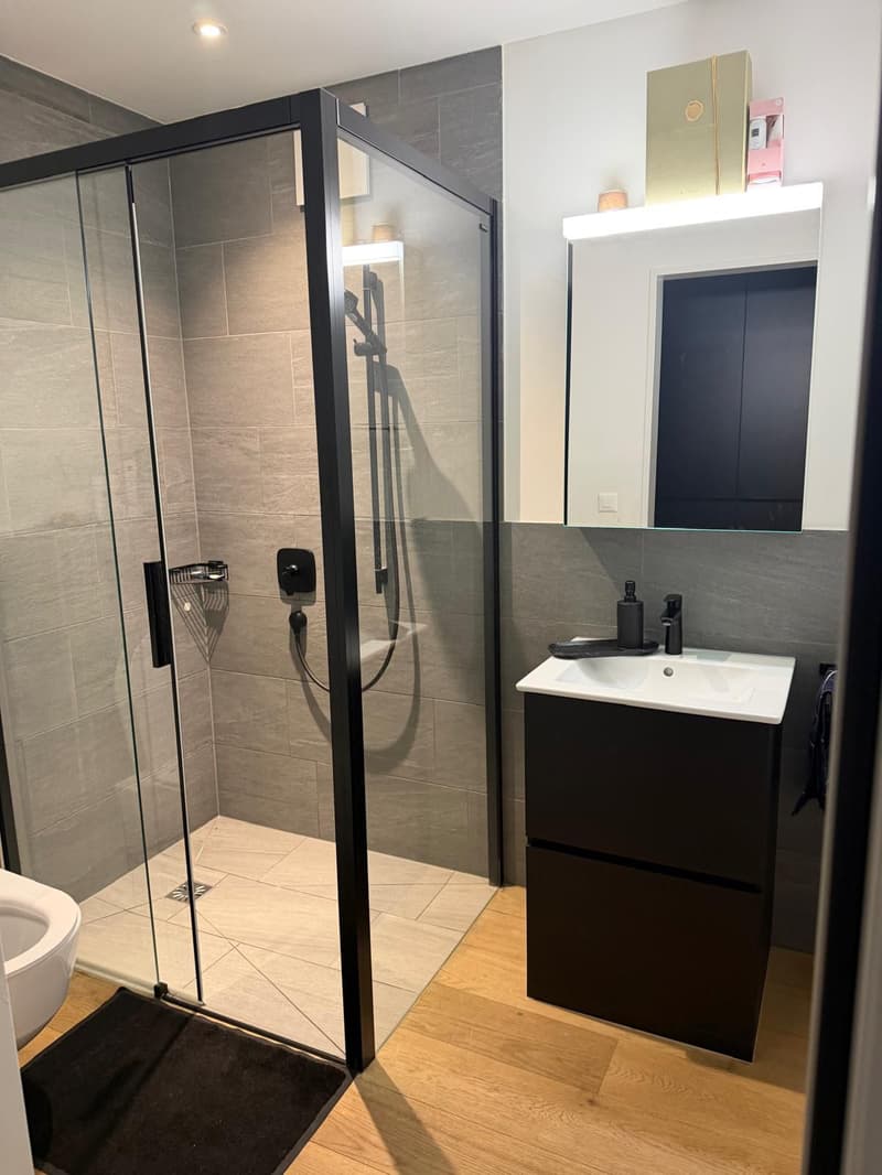 4 1/2 Zimmerwohnung im Sunnepark mit grosszügigem Sitzplatz (75m2) (8)