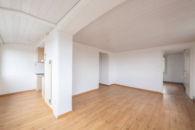 Charmante 4-Zimmer-Wohnung in ruhigem 3 Familienhaus (3)