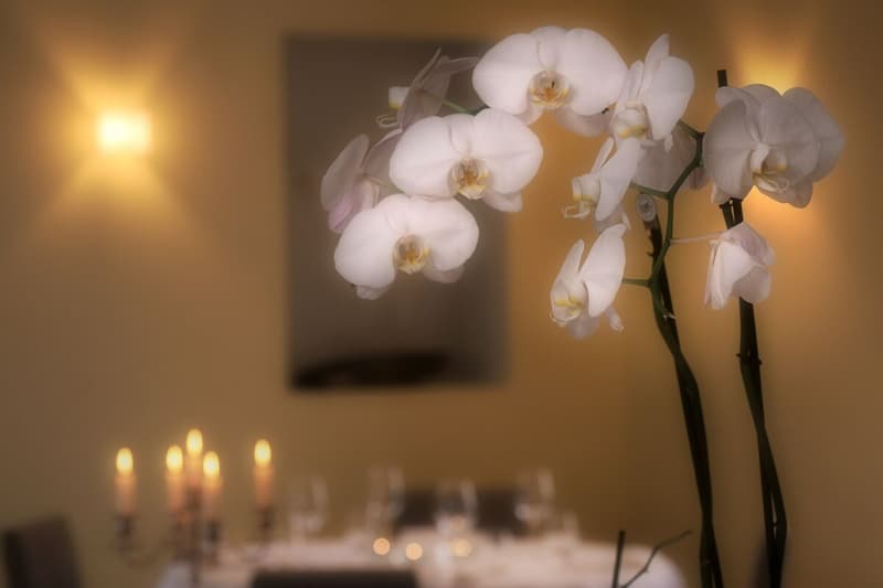 Hôtel & Restaurant Enchantant dans le Locarnese – Un Oasis plein de Charme et de Nature (17)