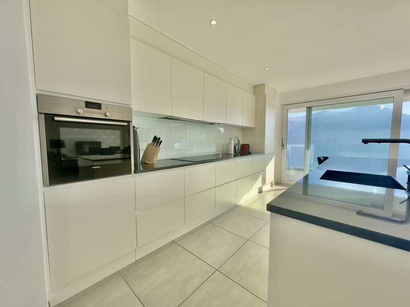 4.5-room apartment with panoramic terrace and 2 parking spaces (2)