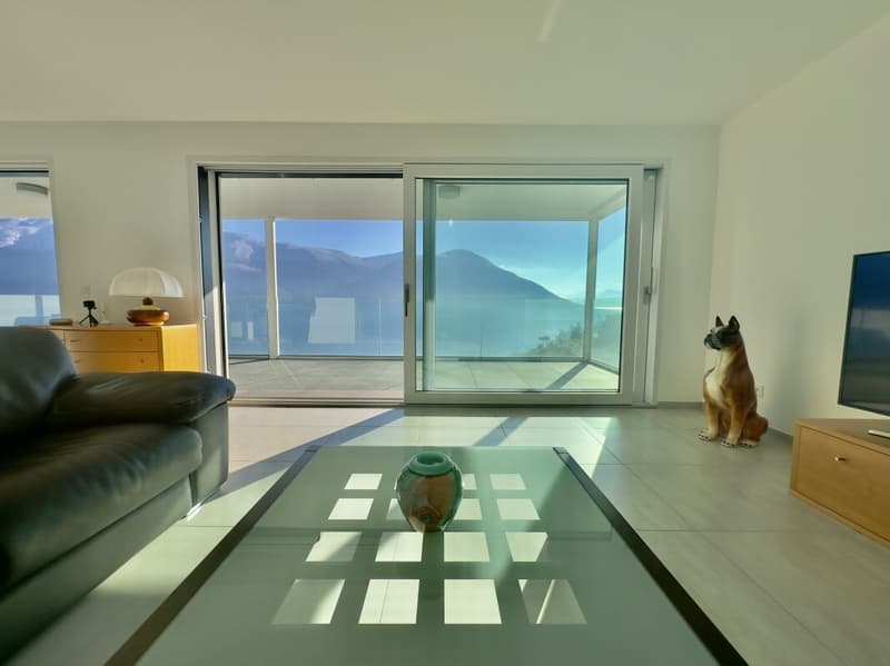 4.5-room apartment with panoramic terrace and 2 parking spaces (4)