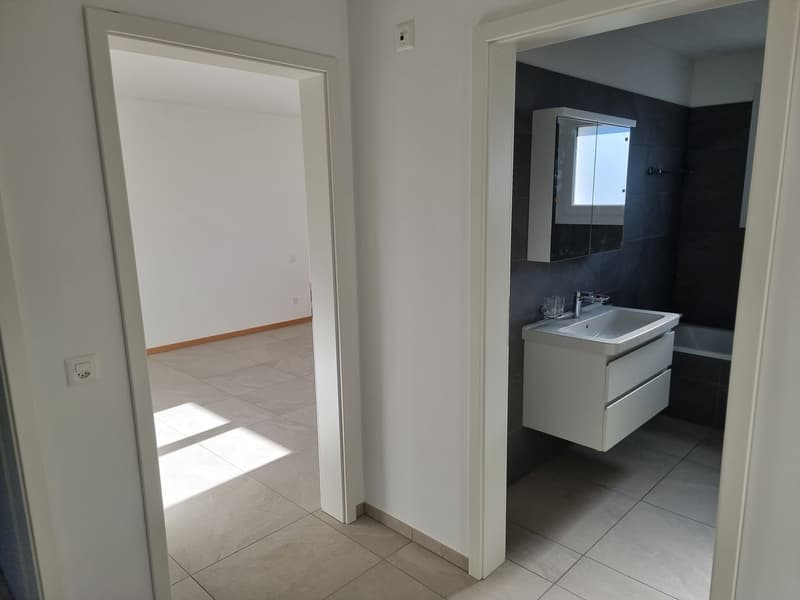 Nouvelle maison unifamiliale de 5,5 pièces (8)