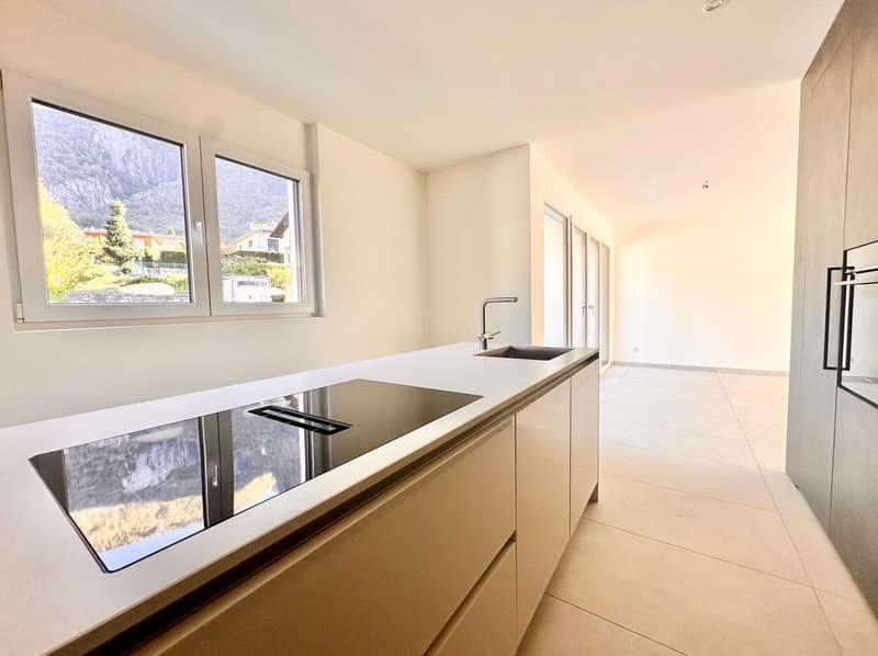 New residential project in Avegno: Natural elegance in the Maggia Valley (12)