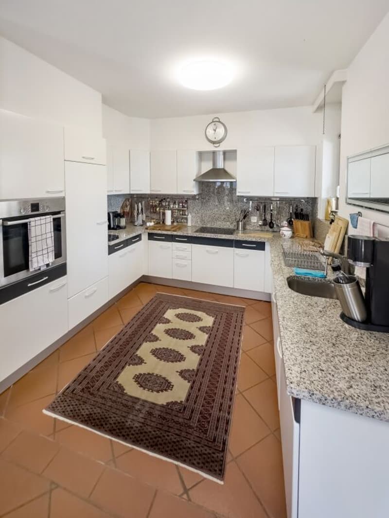 Appartement attique de luxe 4 ½-pièces avec terrasse de 200 m2 et vue spectaculaire (6)