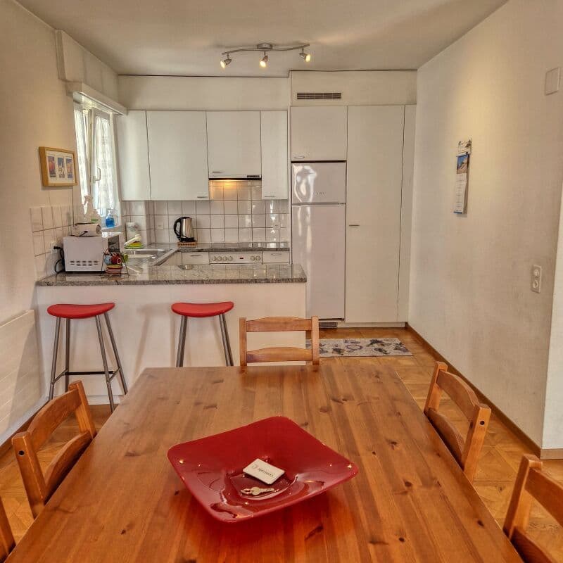 RESIDENZA SECONDARIA - 3 ½ locali con balcone, diretto sul lungo lago (2)