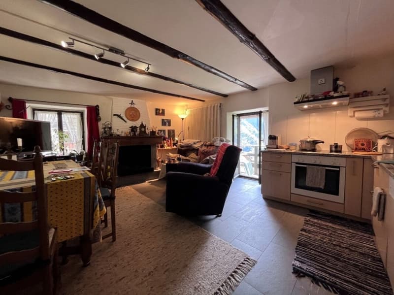 Renovated 3 ½ room apartment, in the historic core, with building land, with pergola (4)
