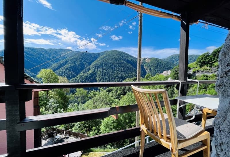 Renovated 3 ½ room apartment, in the historic core, with building land, with pergola (7)