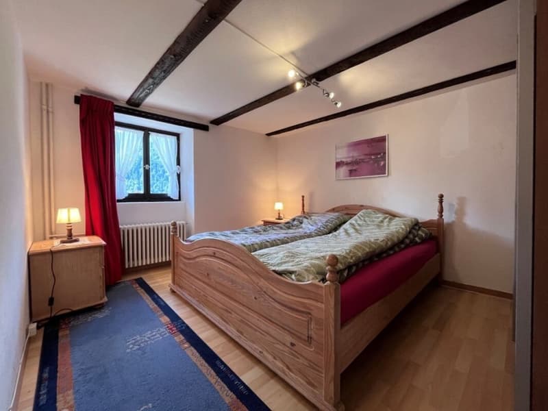 Renovated 3 ½ room apartment, on the 2nd floor with rooftop terrace (5)