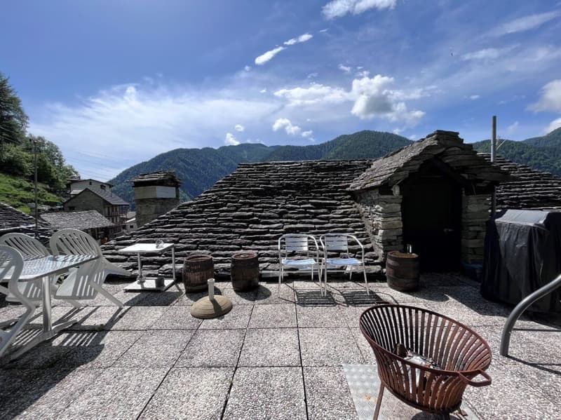 Renovated 3 ½ room apartment, on the 2nd floor with rooftop terrace (2)