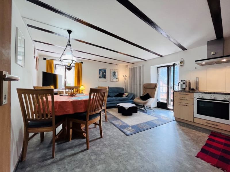 Renovated 3 ½ room apartment, on the 2nd floor with rooftop terrace (4)