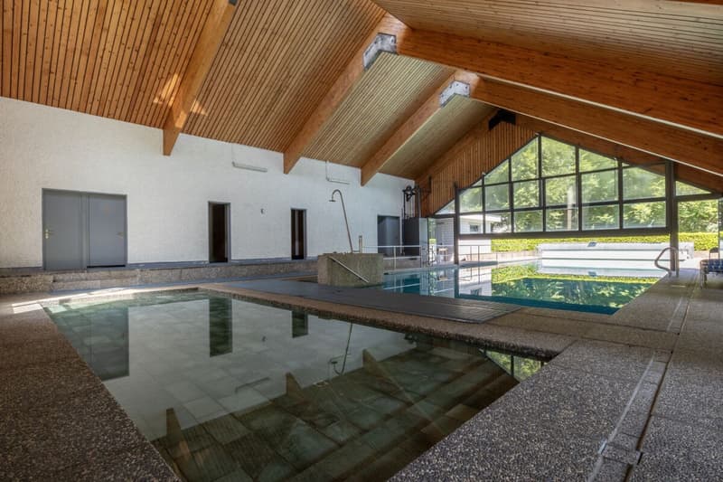2 case plurifamiliari, 2 ristoranti, 1 piscina e ca. 25'100 m2 di terreno immersi nel verde (7)