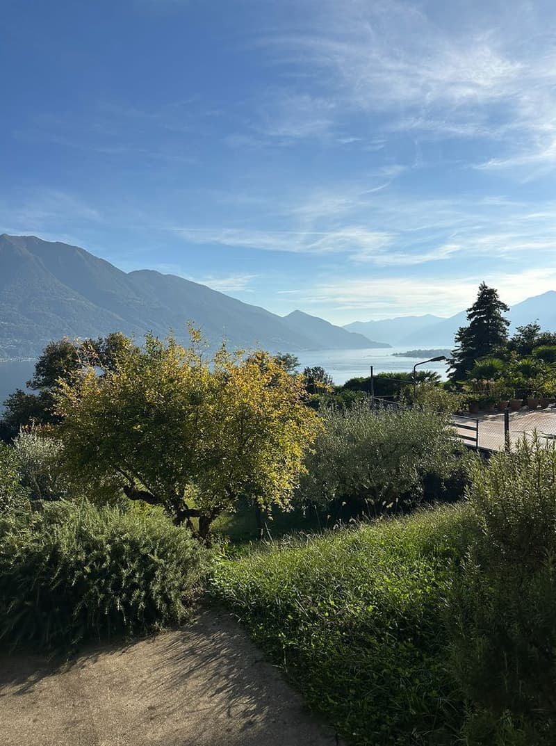 Villa Panoramica con Vista Lago e Design Unico – Via Mondacce, Minusio (5)