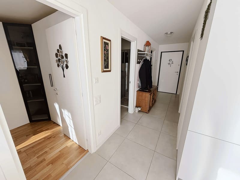 Appartement moderne, nouvellement construit de 3,5 pièces avec terrasse (3)