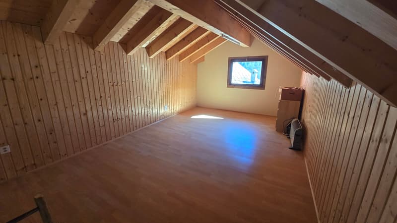 Rustico historique avec grand terrain constructible (8)