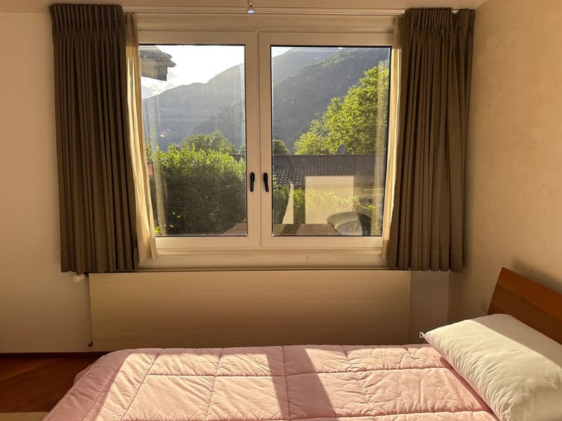 Villa avec piscine panoramique, sauna et vue spectaculaire au-dessus de Locarno (17)