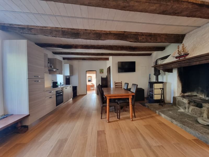 Herrliche 2-Zimmer-Wohnung in einem Rustico, renoviert, mit Parkplatz (5)