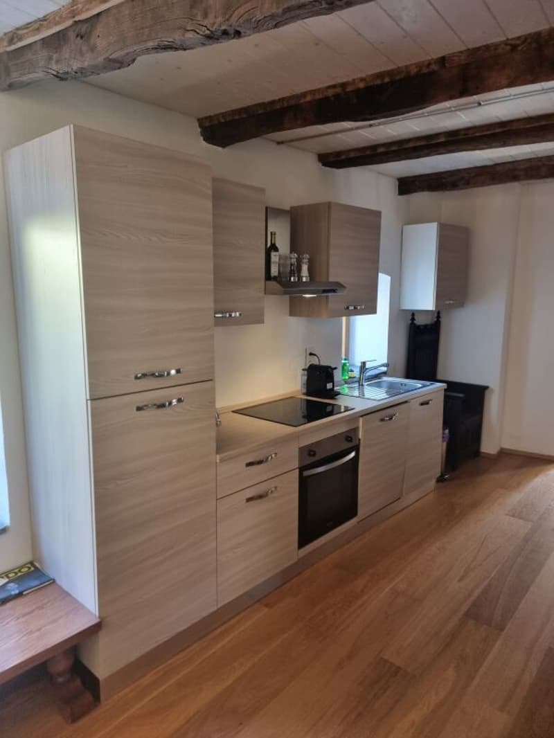 Herrliche 2-Zimmer-Wohnung in einem Rustico, renoviert, mit Parkplatz (4)