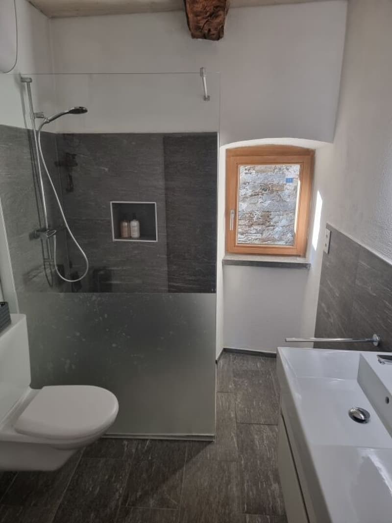 Herrliche 2-Zimmer-Wohnung in einem Rustico, renoviert, mit Parkplatz (8)