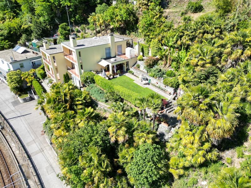 Una casa che ti fa sentire in vacanza (3)