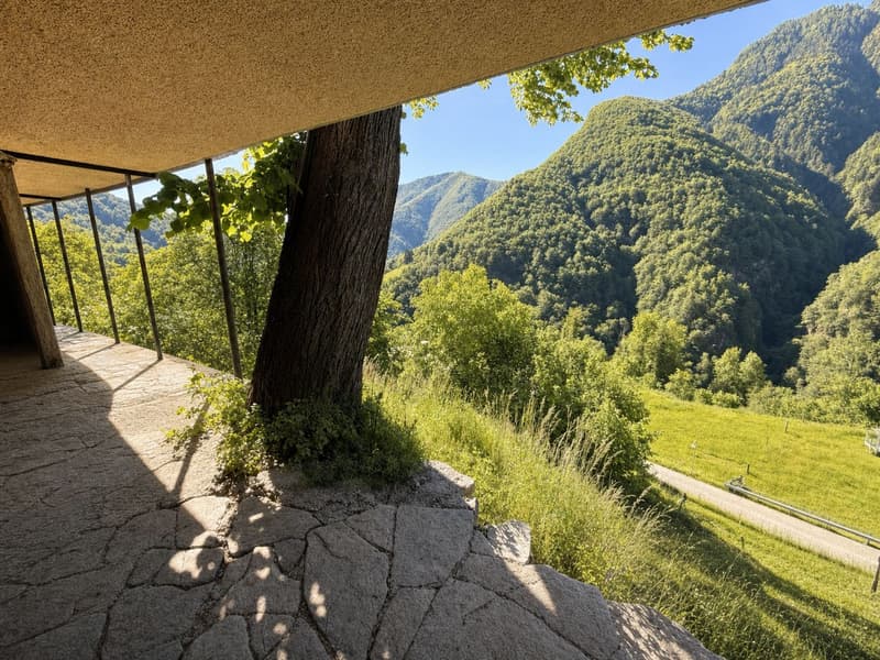 Osteria del Tiglio – un pezzo di storia della Valle Onsernone in vendita (16)