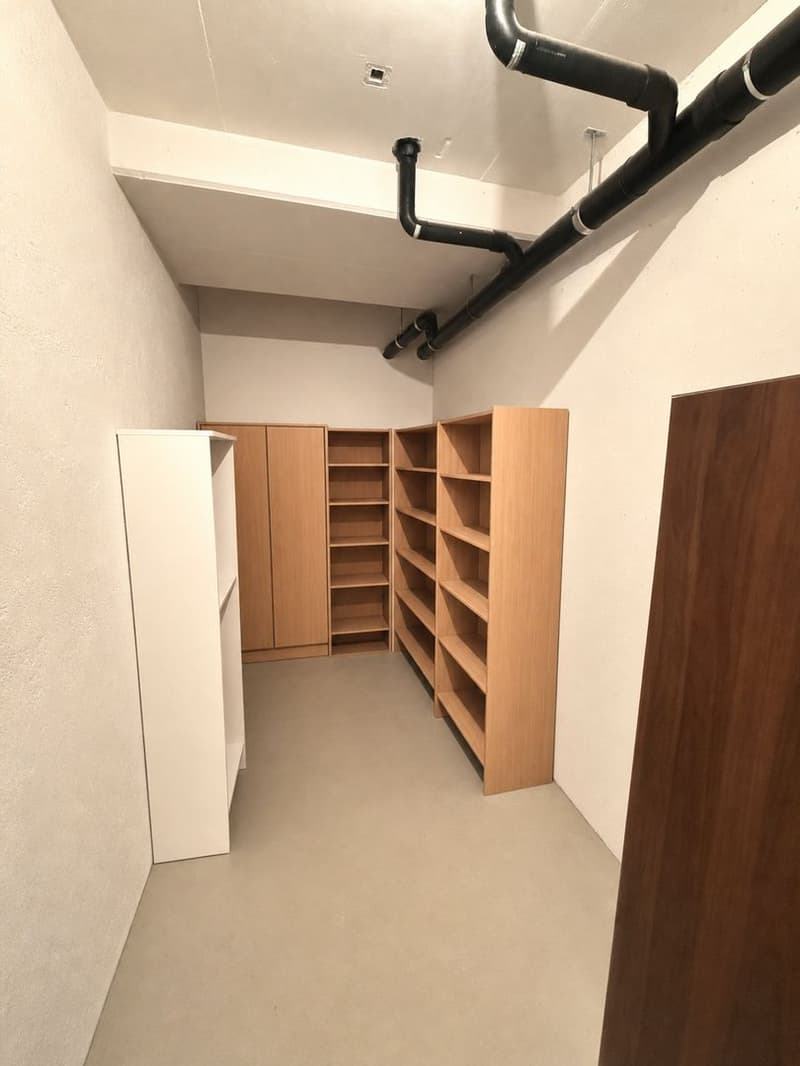 Elegante 4.5 Locali con 2 Terrazze e 3 Posteggi a Gordola (14)