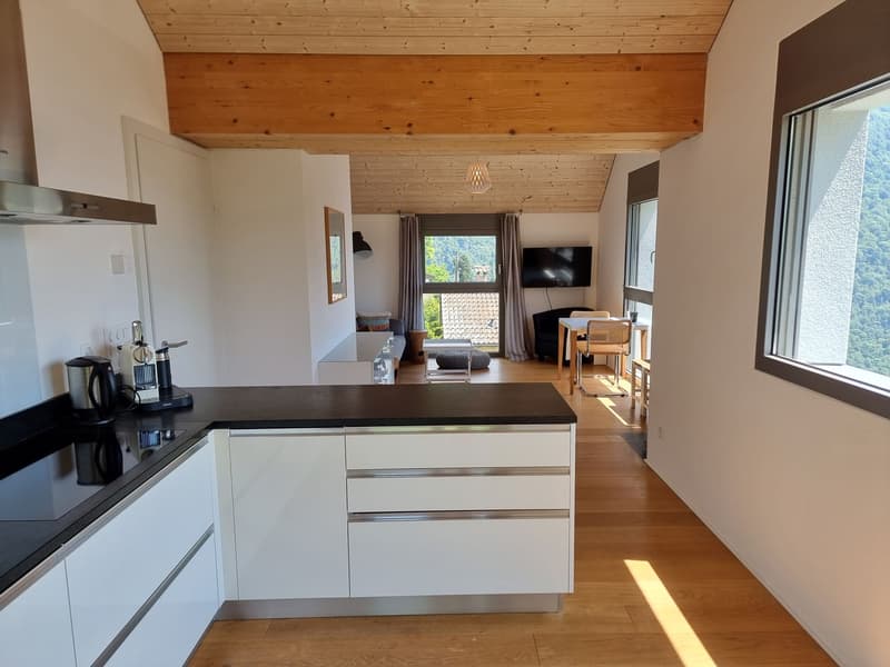 Neues Einfamilienhaus mit 6 Zimmern sehr sonnig und mit Blick auf den See (4)
