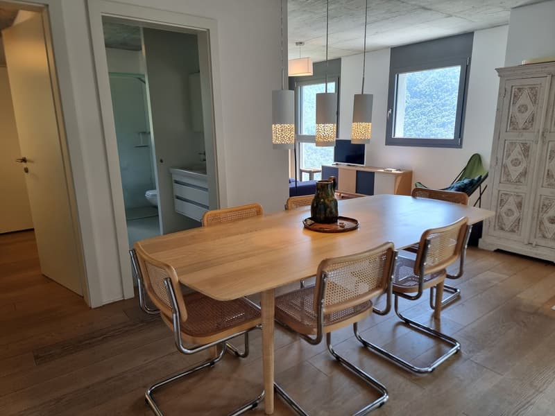 Neues Einfamilienhaus mit 6 Zimmern sehr sonnig und mit Blick auf den See (2)