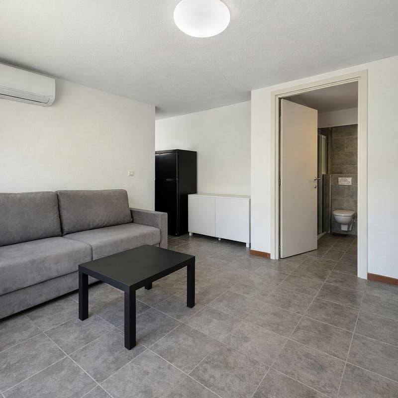 Cadenazzo – 4.5-room apartment with garden, plus an independent studio (17)