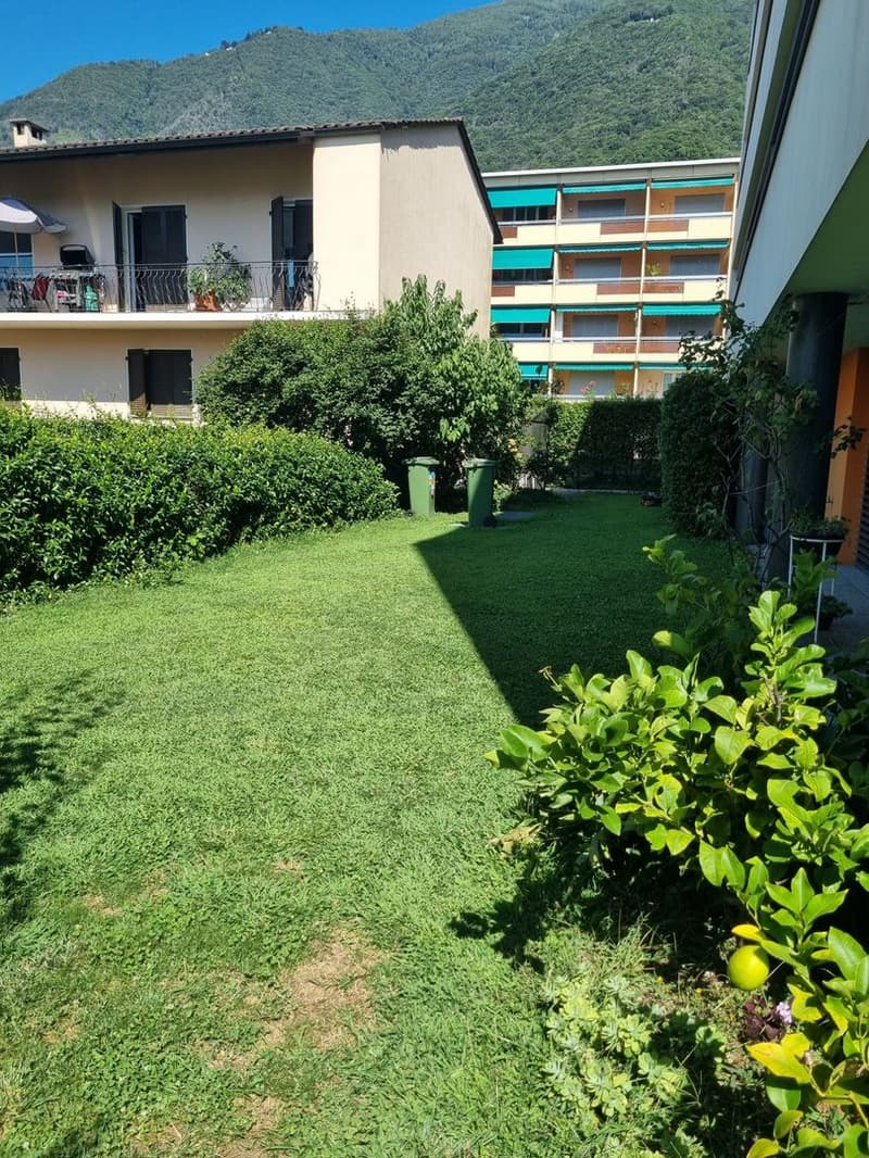 4.5-Zimmer-Gartenwohnung in ruhiger Privatstrasse – Zentrale Lage in Minusio – Zweitwohnsitz (7)