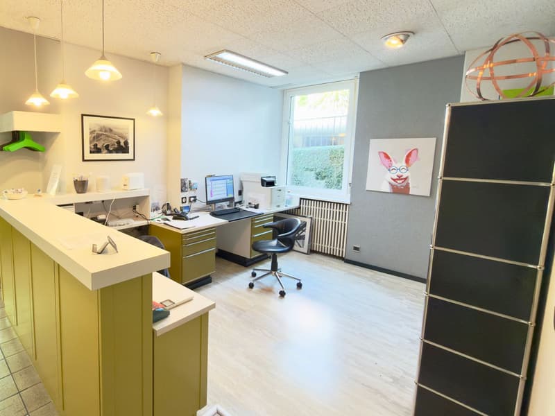 Elegante spazio commerciale in villa storica in posizione strategica (3)