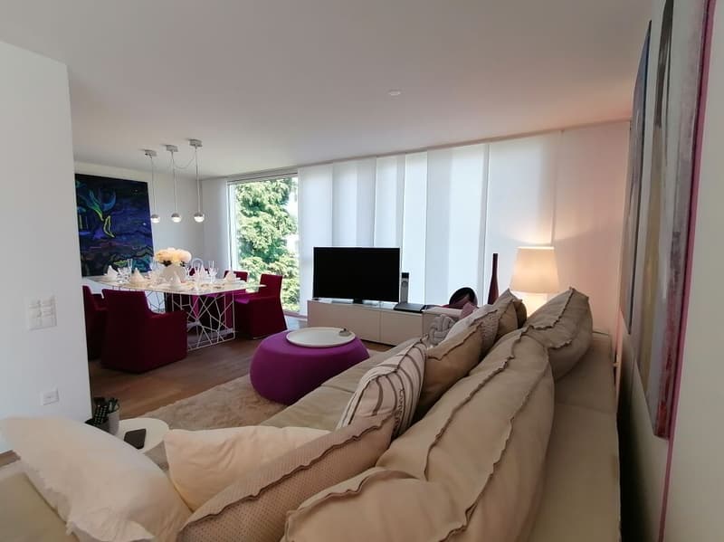 Luxus 4.5-Zimmer-Attika-Wohnung mit grösser Terrasse und 2 Parkplätze in der Tiefgarage (Copy) (3)
